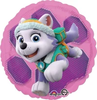 Set Team Paw Patrule 2