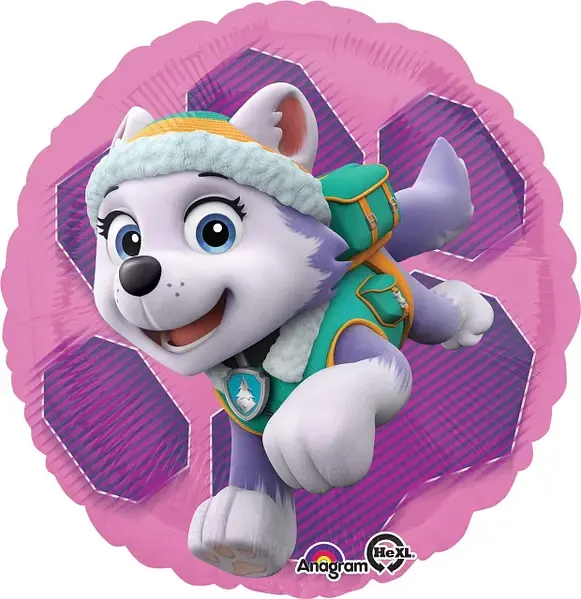 Set Team Paw Patrule 2