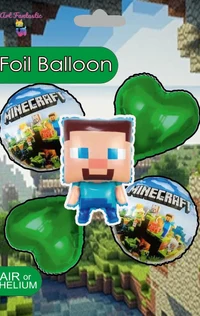 Set Minecraft 4
