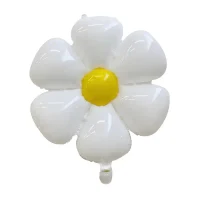 Figruina Romanita Daisy L 4